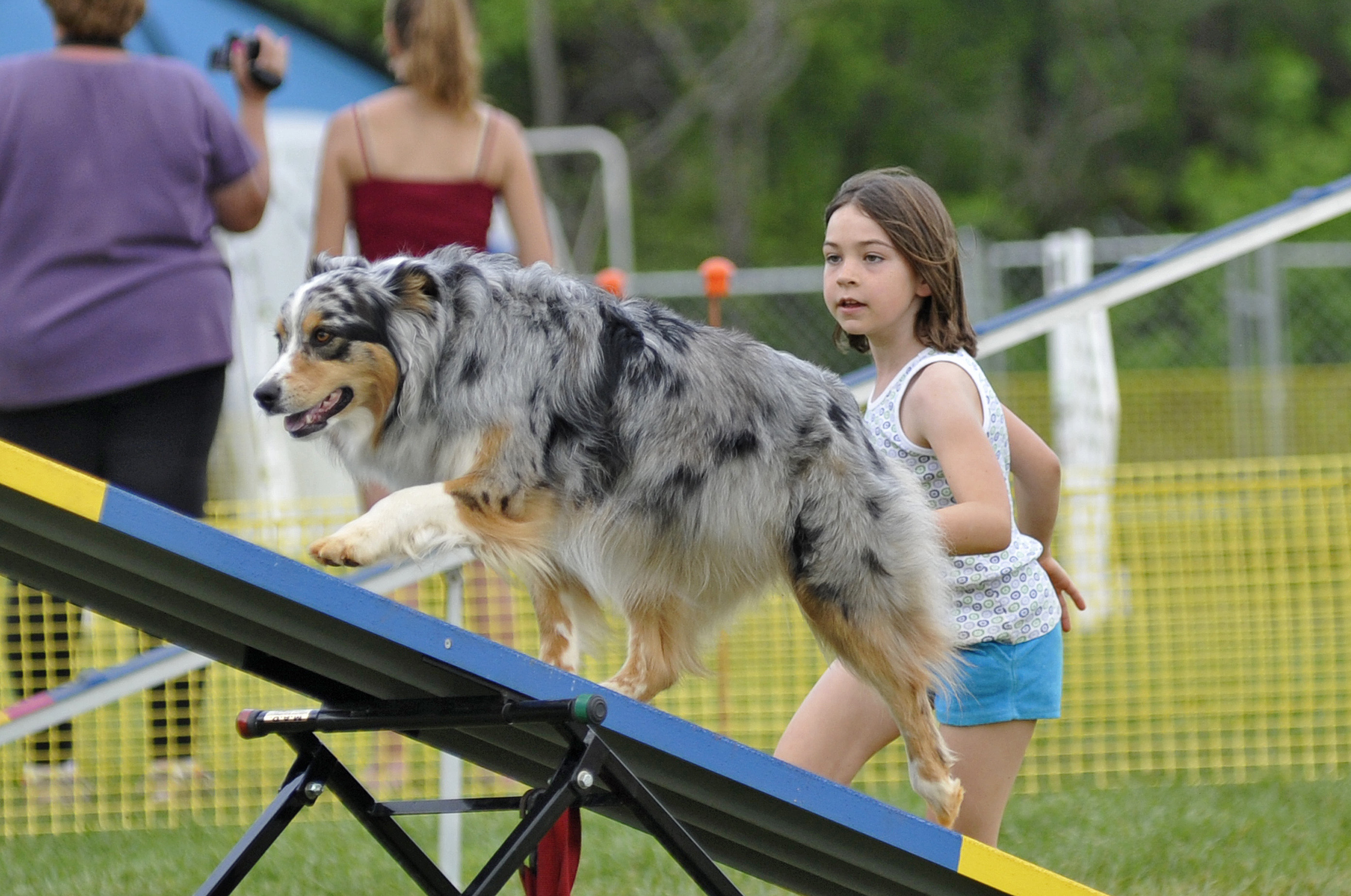 Canine Sport