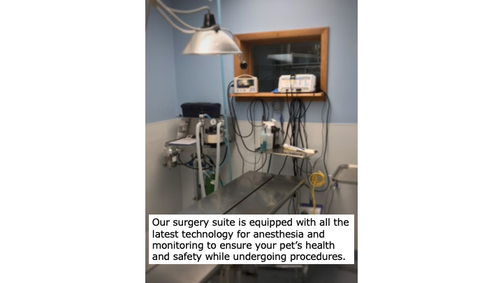 Surgery Suite 