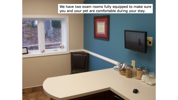 Blue Exam Room 